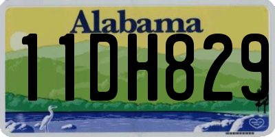 AL license plate 11DH829