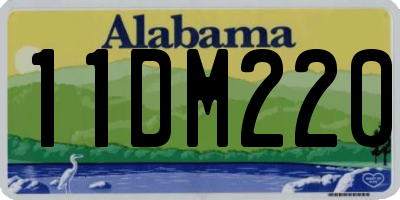 AL license plate 11DM220
