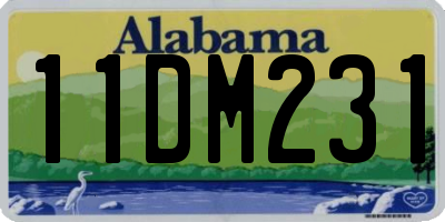 AL license plate 11DM231