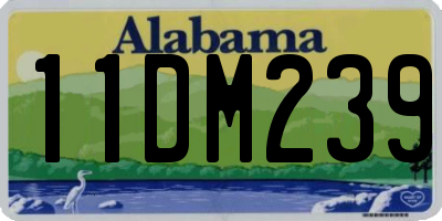 AL license plate 11DM239