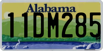 AL license plate 11DM285