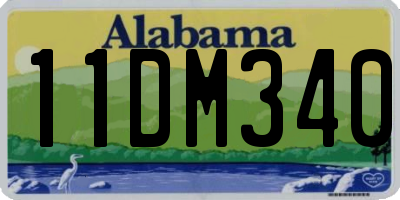AL license plate 11DM340