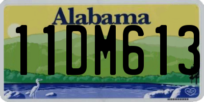 AL license plate 11DM613