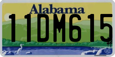 AL license plate 11DM615