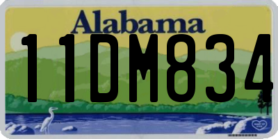 AL license plate 11DM834