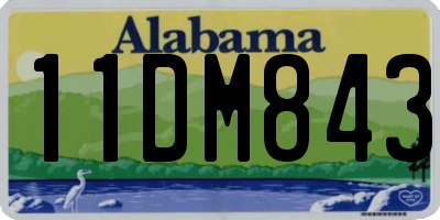 AL license plate 11DM843