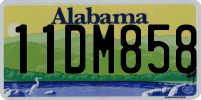 AL license plate 11DM858