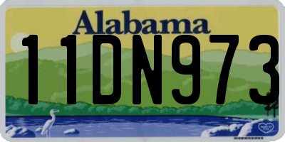 AL license plate 11DN973