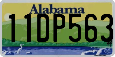 AL license plate 11DP563