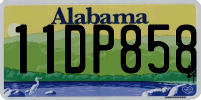 AL license plate 11DP858