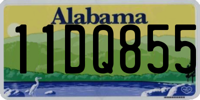 AL license plate 11DQ855
