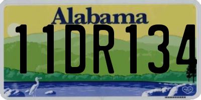 AL license plate 11DR134