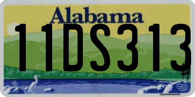 AL license plate 11DS313