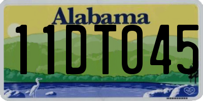 AL license plate 11DT045