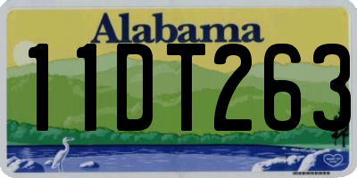 AL license plate 11DT263