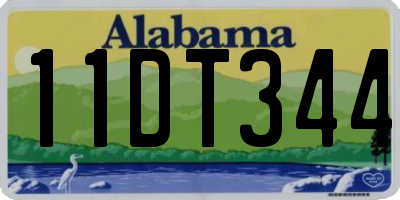 AL license plate 11DT344