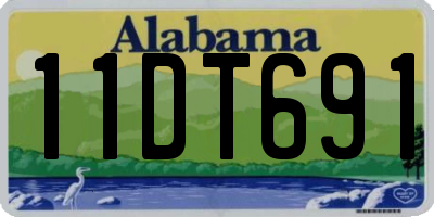 AL license plate 11DT691