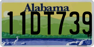 AL license plate 11DT739