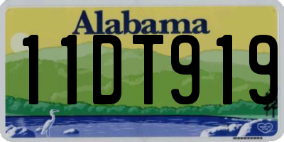AL license plate 11DT919