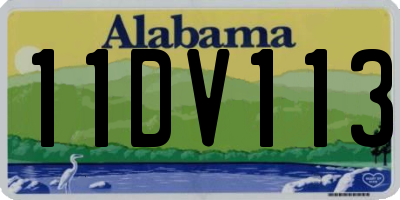AL license plate 11DV113