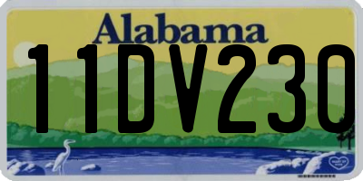 AL license plate 11DV230