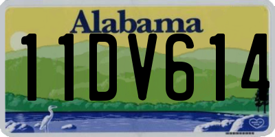 AL license plate 11DV614