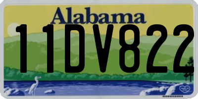 AL license plate 11DV822