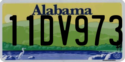 AL license plate 11DV973