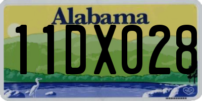 AL license plate 11DX028