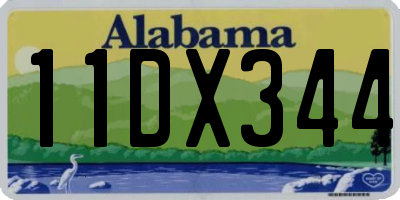 AL license plate 11DX344