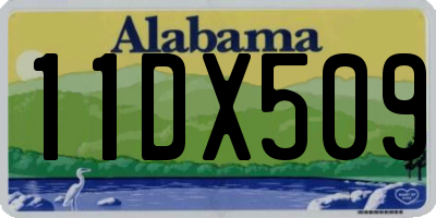 AL license plate 11DX509