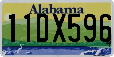 AL license plate 11DX596