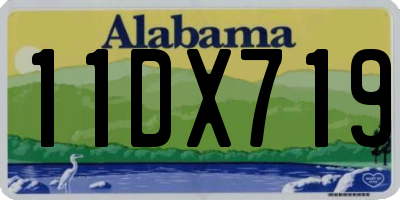 AL license plate 11DX719