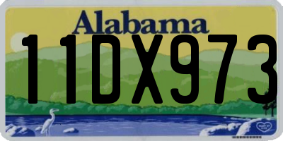 AL license plate 11DX973