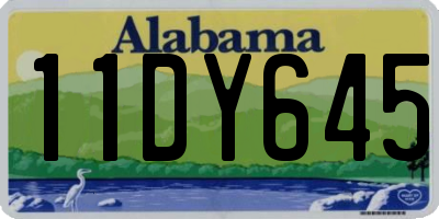 AL license plate 11DY645