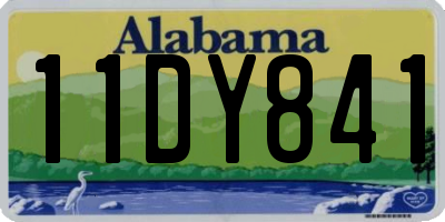 AL license plate 11DY841