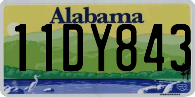 AL license plate 11DY843