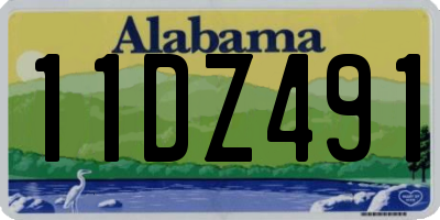 AL license plate 11DZ491