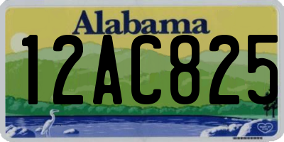 AL license plate 12AC825