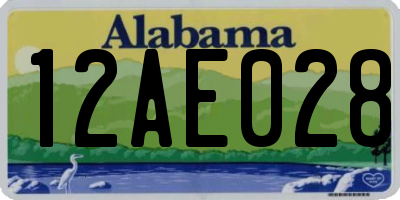 AL license plate 12AE028