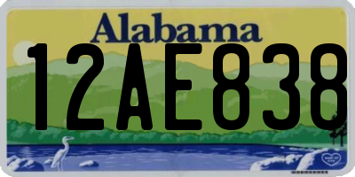 AL license plate 12AE838