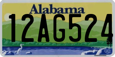AL license plate 12AG524