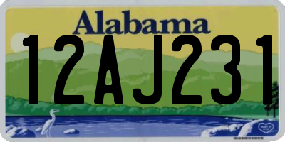 AL license plate 12AJ231