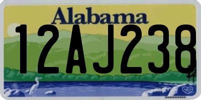 AL license plate 12AJ238
