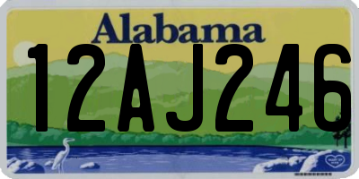 AL license plate 12AJ246