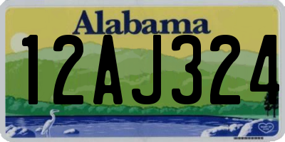 AL license plate 12AJ324