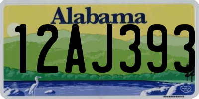 AL license plate 12AJ393