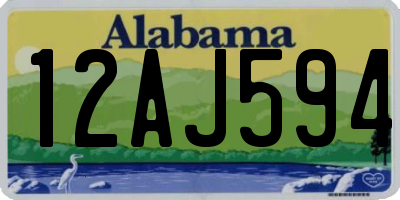 AL license plate 12AJ594