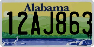 AL license plate 12AJ863