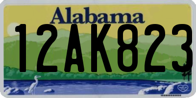 AL license plate 12AK823
